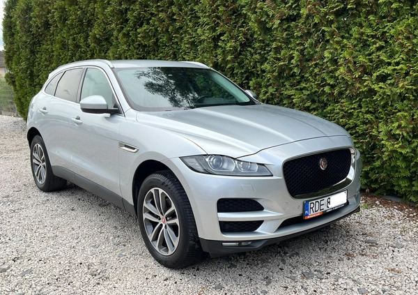 Jaguar F-Pace cena 99900 przebieg: 158000, rok produkcji 2019 z Dębica małe 121